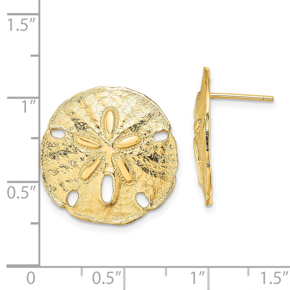 14K Gelbgold Poliert Sand Dollar Ohrstecker
