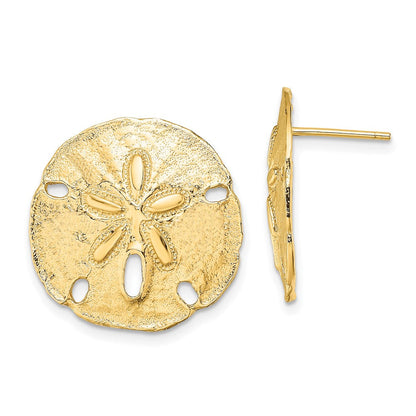 14K Gelbgold Poliert Sand Dollar Ohrstecker