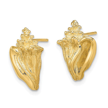 14K Gelbgold 2-d Conch Muschel Ohrstecker