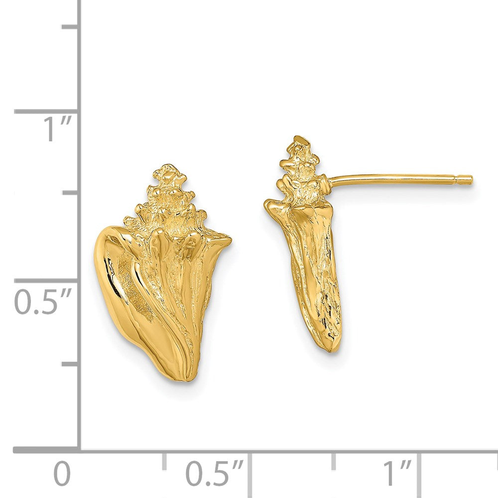 14K Gelbgold 2-d Conch Muschel Ohrstecker