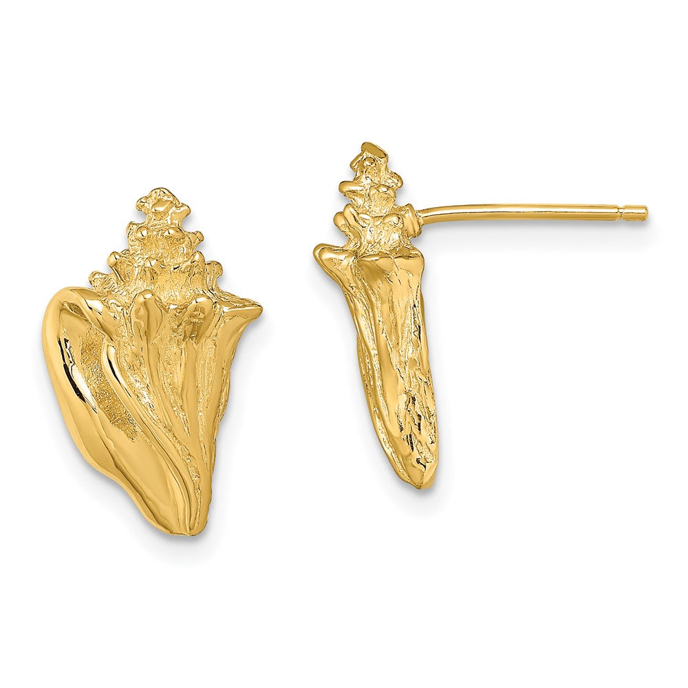 14K Gelbgold 2-d Conch Muschel Ohrstecker