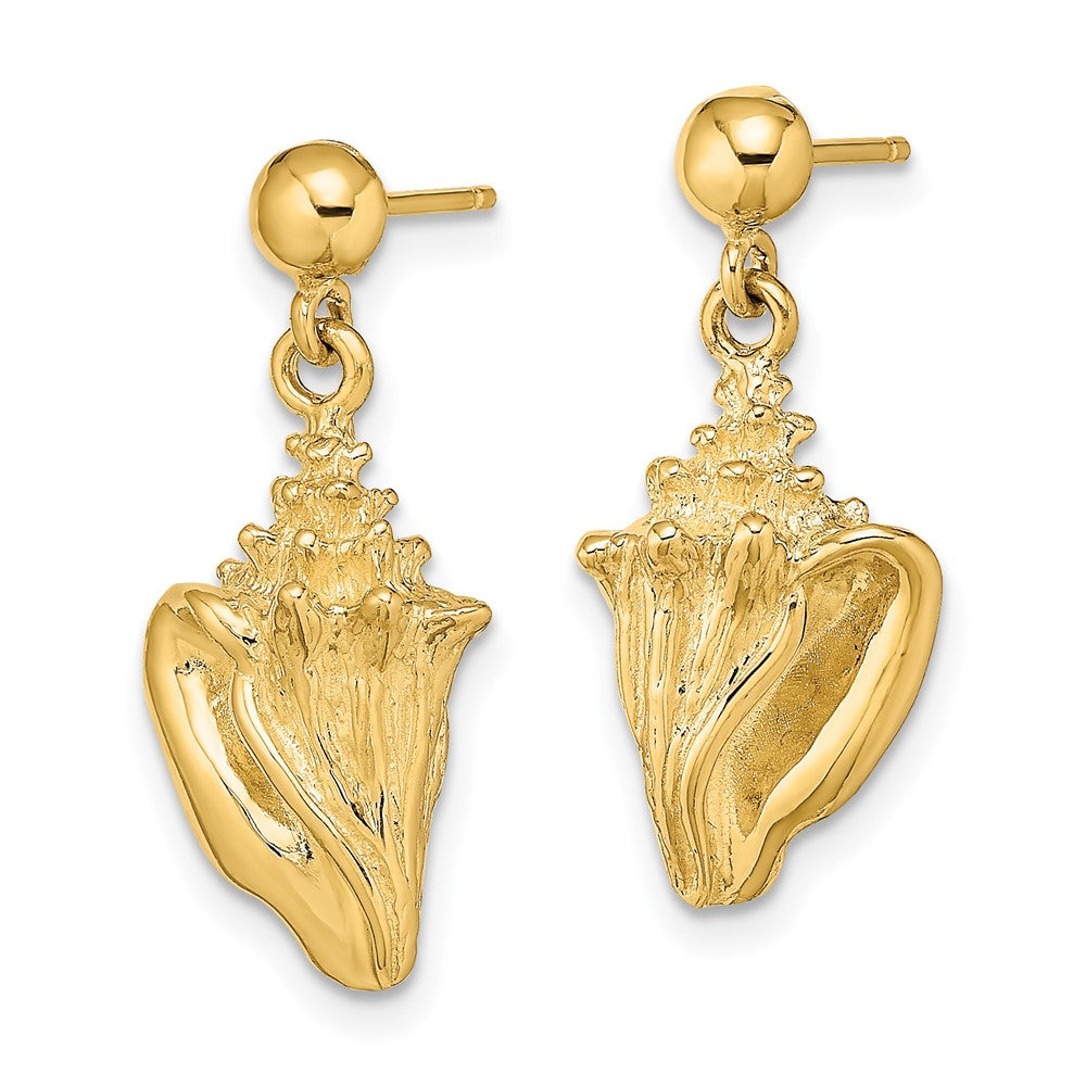 14K Gelbgold Conch Muschel Ohrhänger