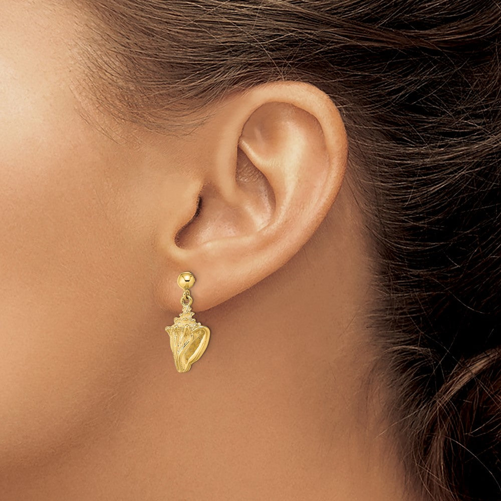 14K Gelbgold Conch Muschel Ohrhänger