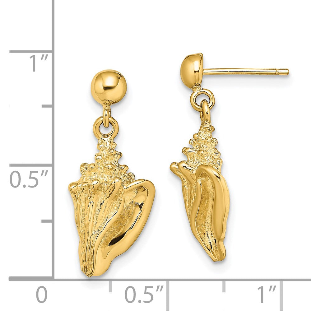 14K Gelbgold Conch Muschel Ohrhänger