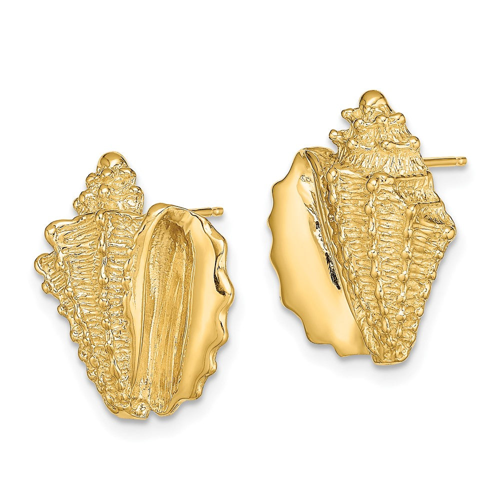 14K Gelbgold 2-d Conch Muschel Ohrstecker
