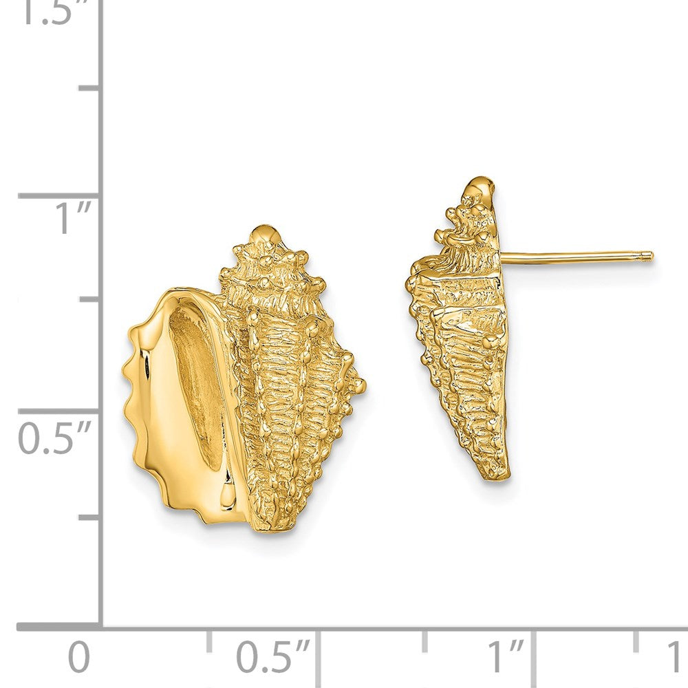 14K Gelbgold 2-d Conch Muschel Ohrstecker