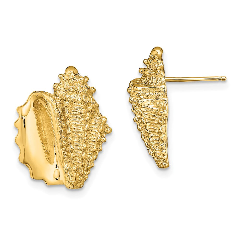 14K Gelbgold 2-d Conch Muschel Ohrstecker