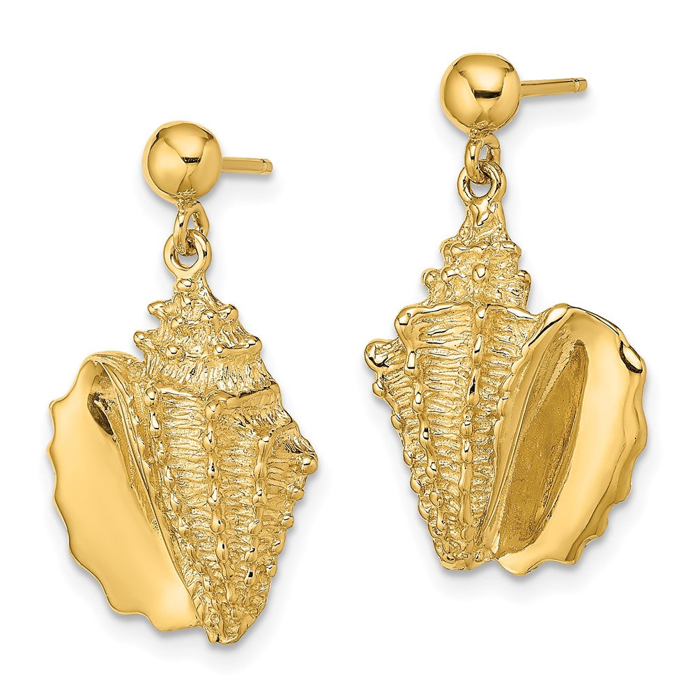 14K Gelbgold 2-d Conch Muschel Hängend Ohrstecker