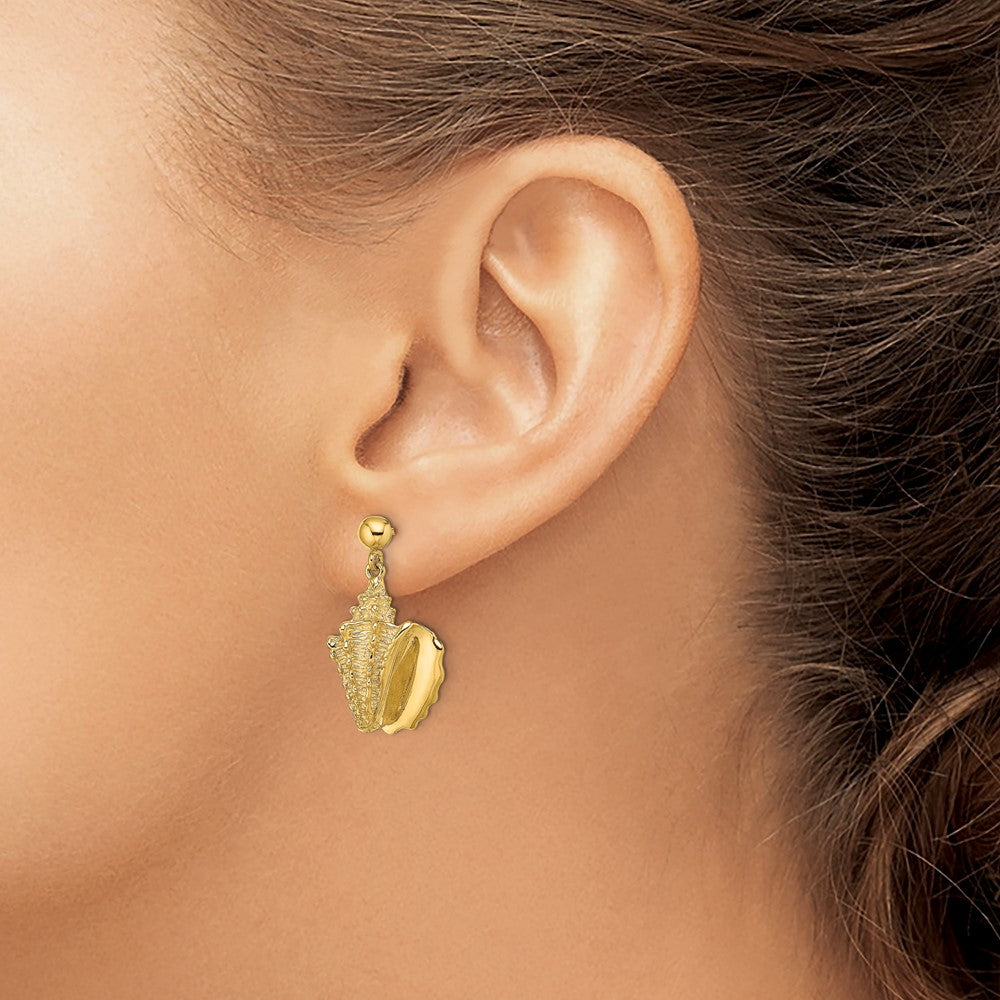 14K Gelbgold 2-d Conch Muschel Hängend Ohrstecker
