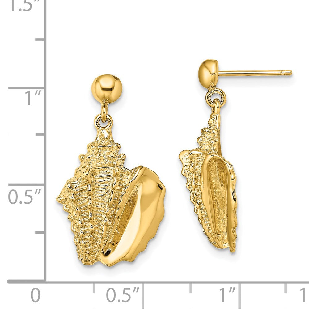 14K Gelbgold 2-d Conch Muschel Hängend Ohrstecker