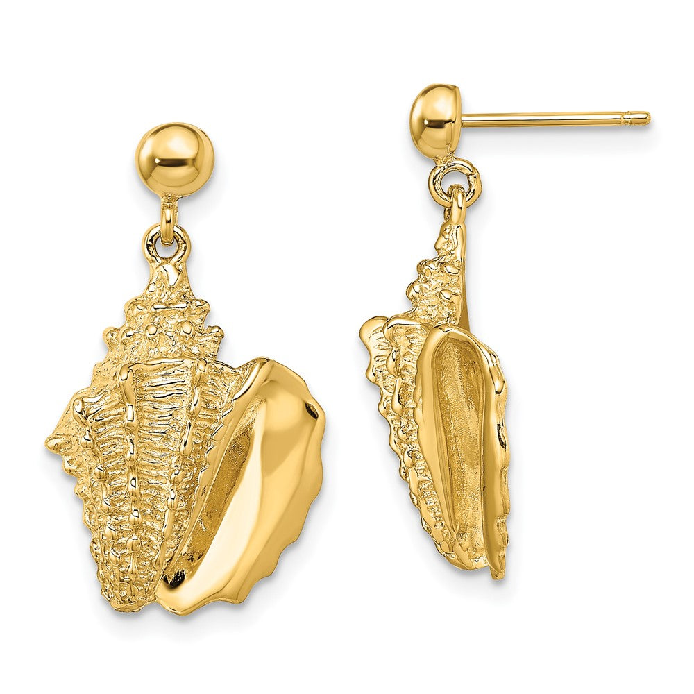 14K Gelbgold 2-d Conch Muschel Hängend Ohrstecker