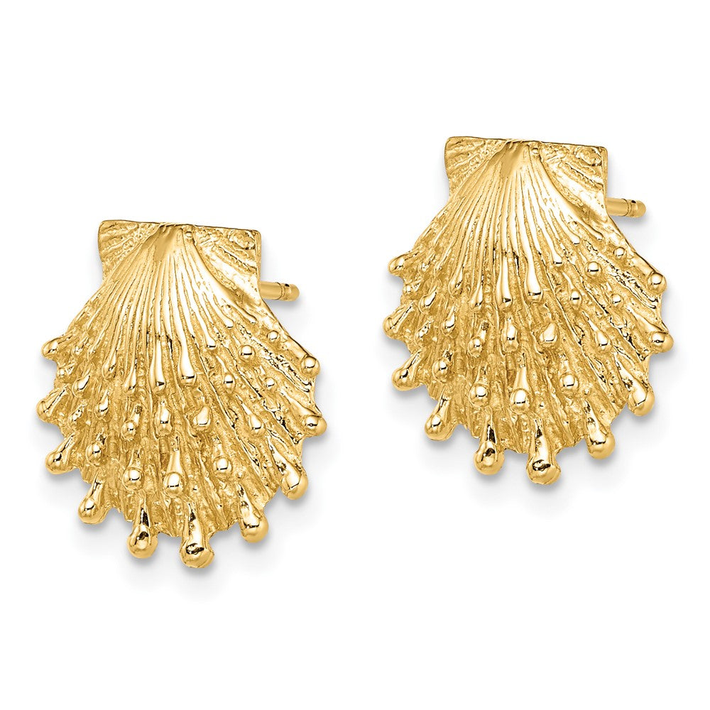 14K Gelbgold Löwe Paw Muschel Ohrstecker