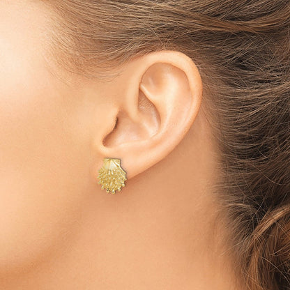 14K Gelbgold Löwe Paw Muschel Ohrstecker
