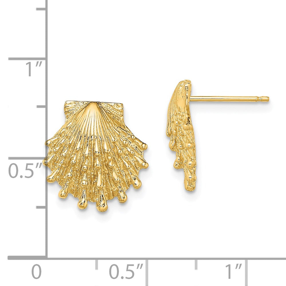 14K Gelbgold Löwe Paw Muschel Ohrstecker