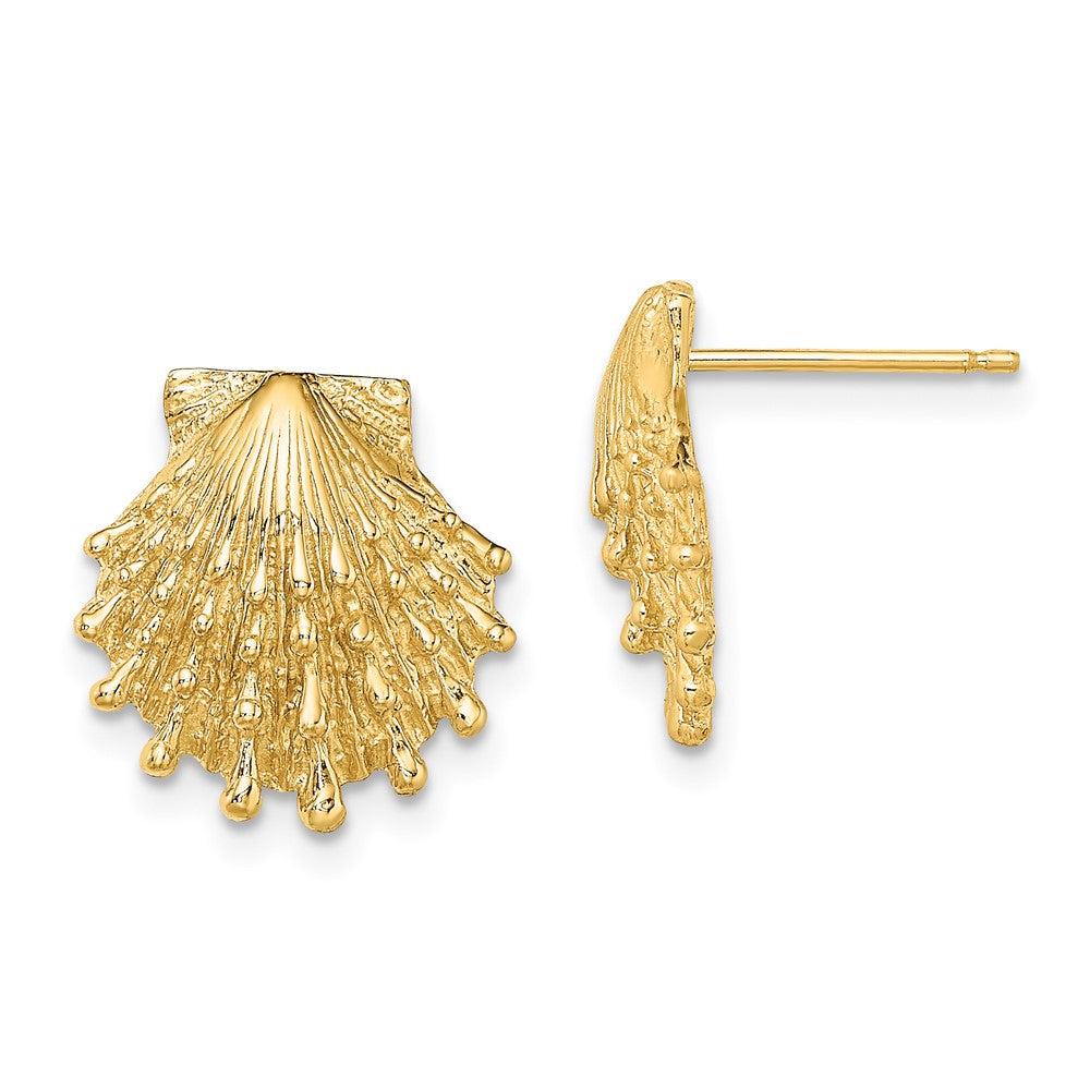 14K Gelbgold Löwe Paw Muschel Ohrstecker