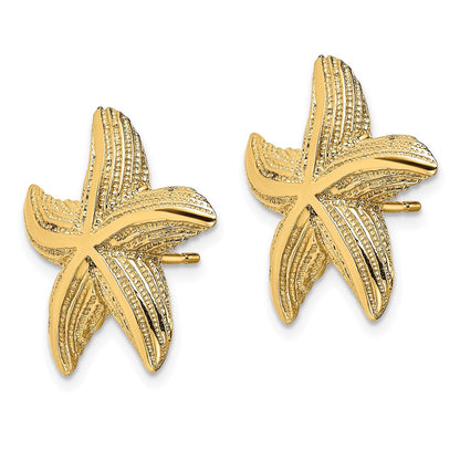 14K Gelbgold Seestern Ohrstecker