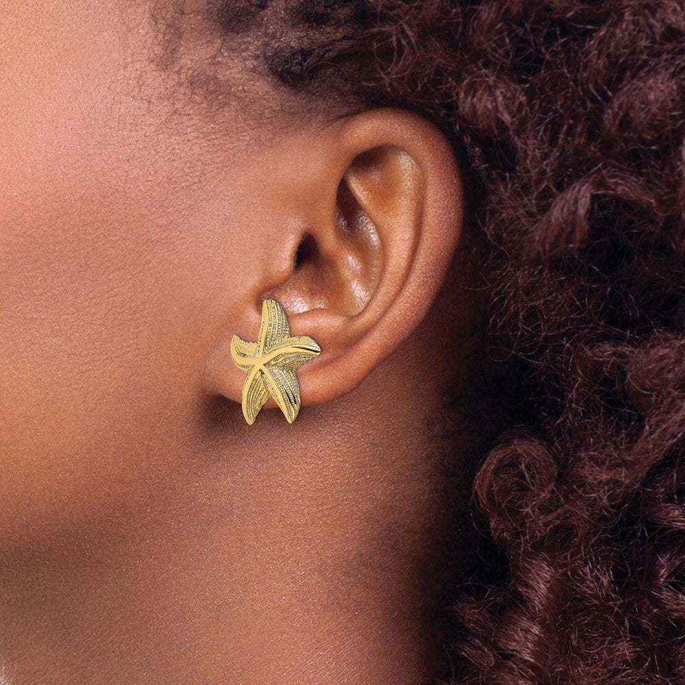 14K Gelbgold Seestern Ohrstecker