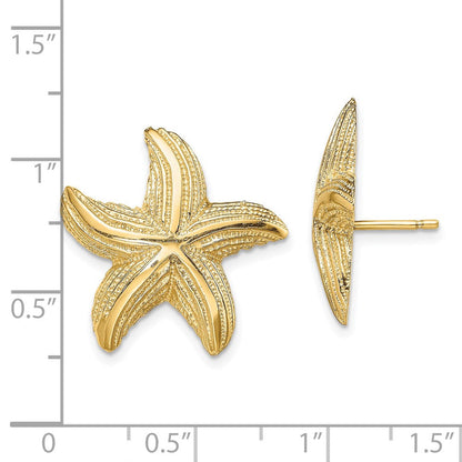 14K Gelbgold Seestern Ohrstecker
