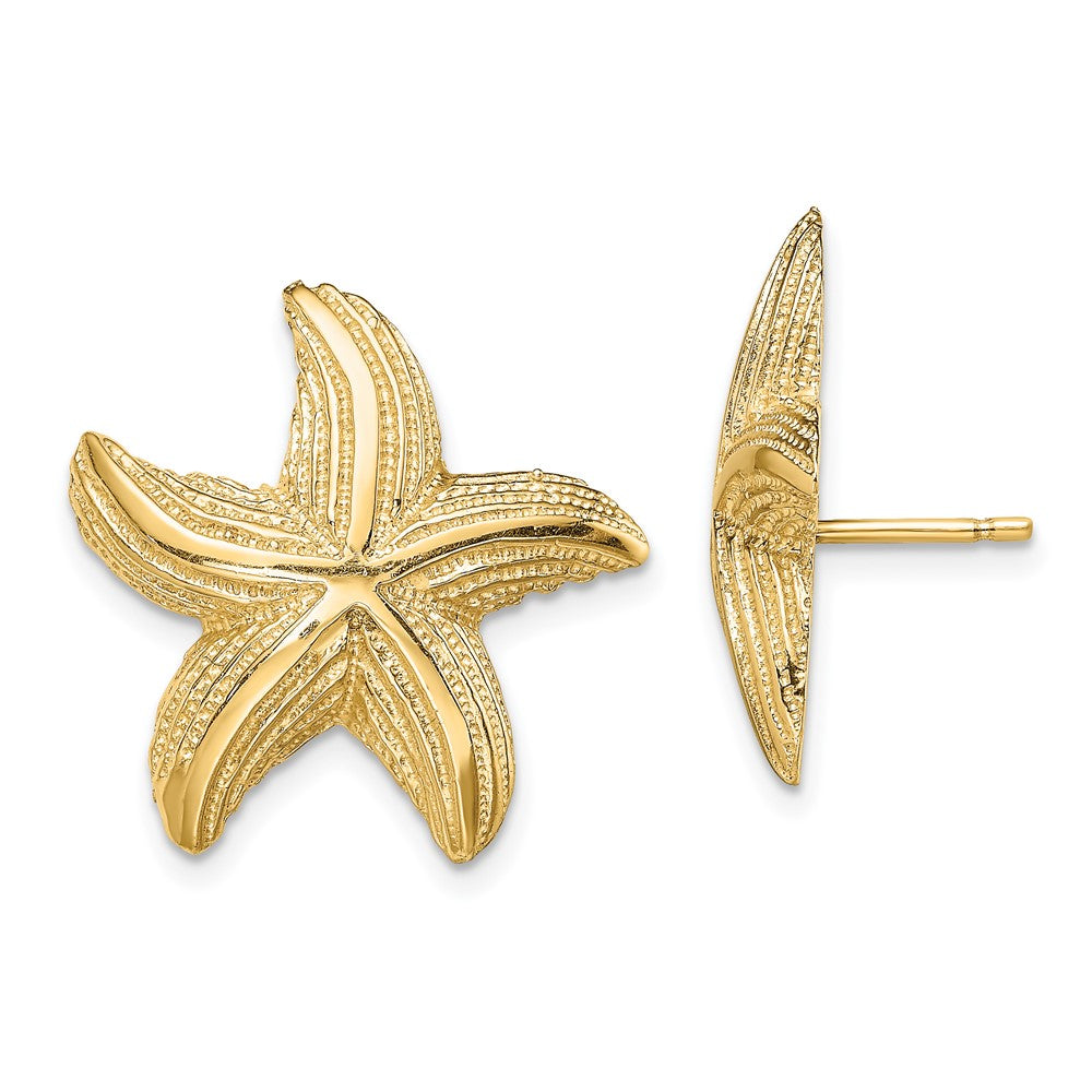14K Gelbgold Seestern Ohrstecker