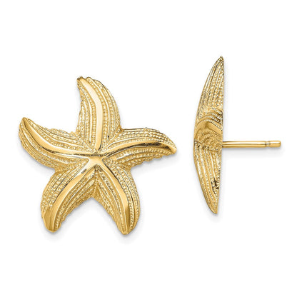 14K Gelbgold Seestern Ohrstecker