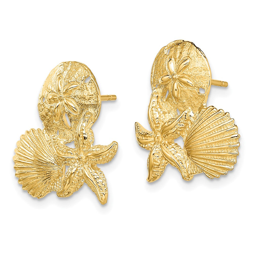 14K Gelbgold Sand Dollar, Seestern,,scallop Cluster Ohrstecker