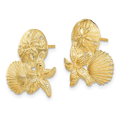 14K Gelbgold Sand Dollar, Seestern,,scallop Cluster Ohrstecker