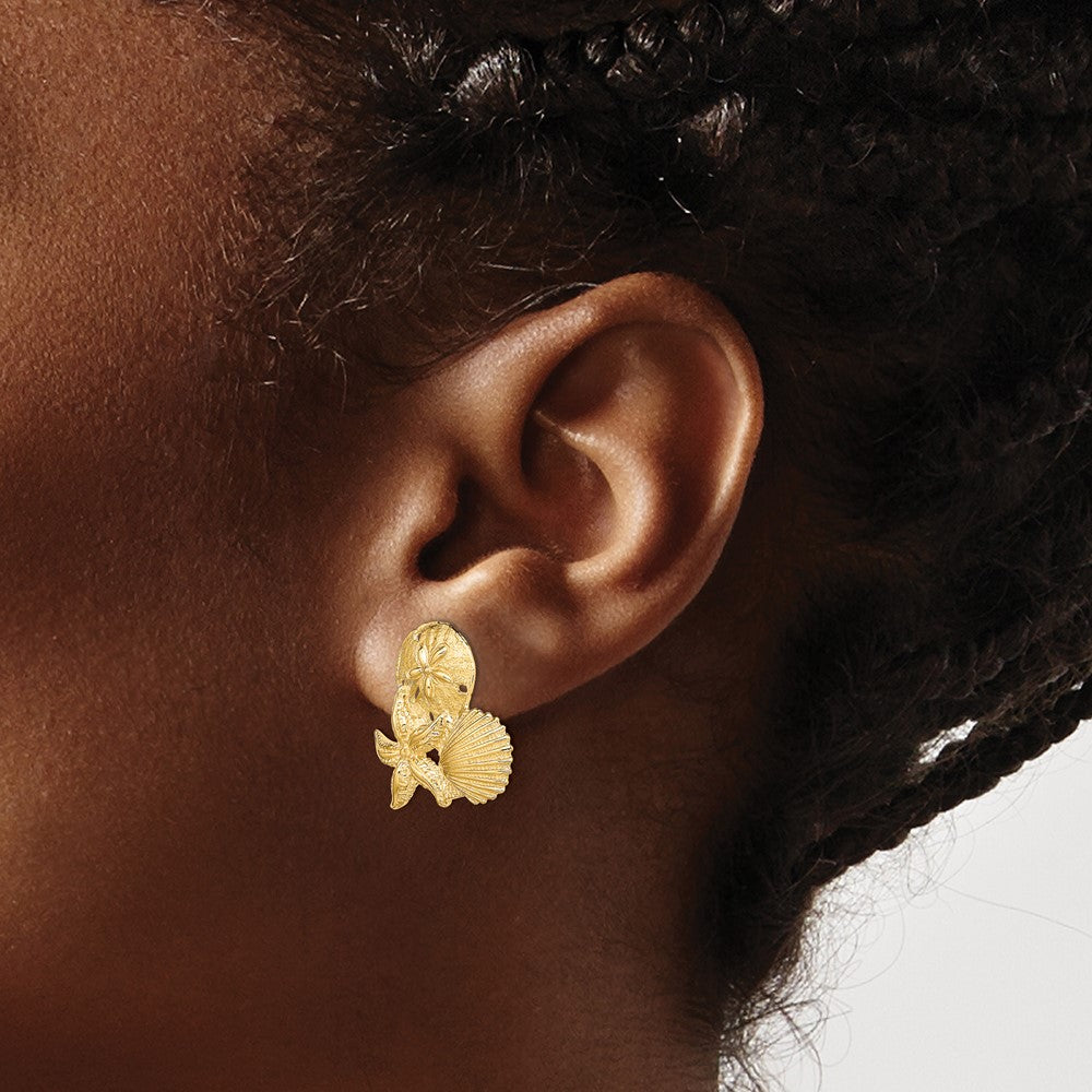 14K Gelbgold Sand Dollar, Seestern,,scallop Cluster Ohrstecker