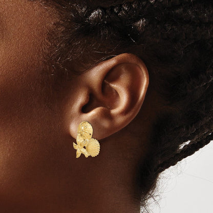 14K Gelbgold Sand Dollar, Seestern,,scallop Cluster Ohrstecker