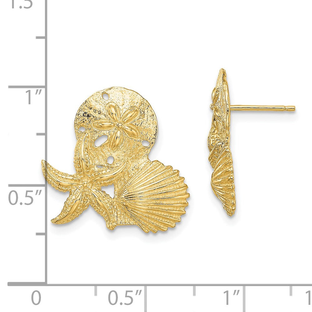 14K Gelbgold Sand Dollar, Seestern,,scallop Cluster Ohrstecker