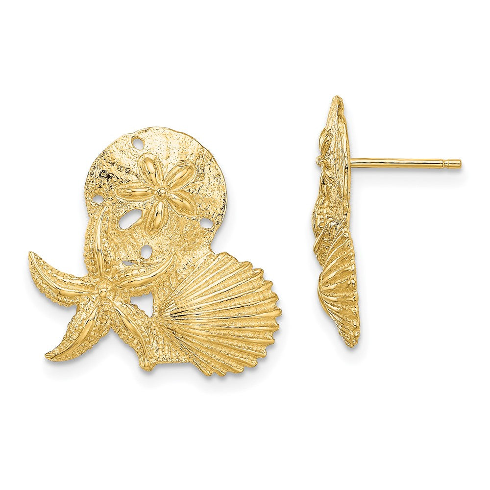 14K Gelbgold Sand Dollar, Seestern,,scallop Cluster Ohrstecker