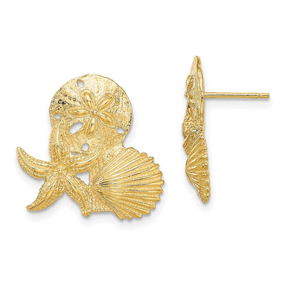14K Gelbgold Sand Dollar, Seestern,,scallop Cluster Ohrstecker