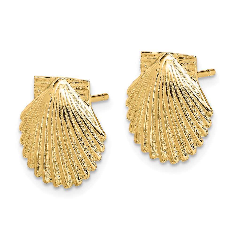 14K Gelbgold 2-d Poliert Muschel Ohrstecker