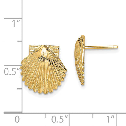 14K Gelbgold 2-d Poliert Muschel Ohrstecker