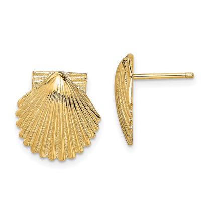 14K Gelbgold 2-d Poliert Muschel Ohrstecker