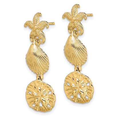 14K Gelbgold Seestern, Muschel,sand Dollar Ohrhänger
