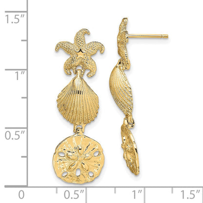 14K Gelbgold Seestern, Muschel,sand Dollar Ohrhänger