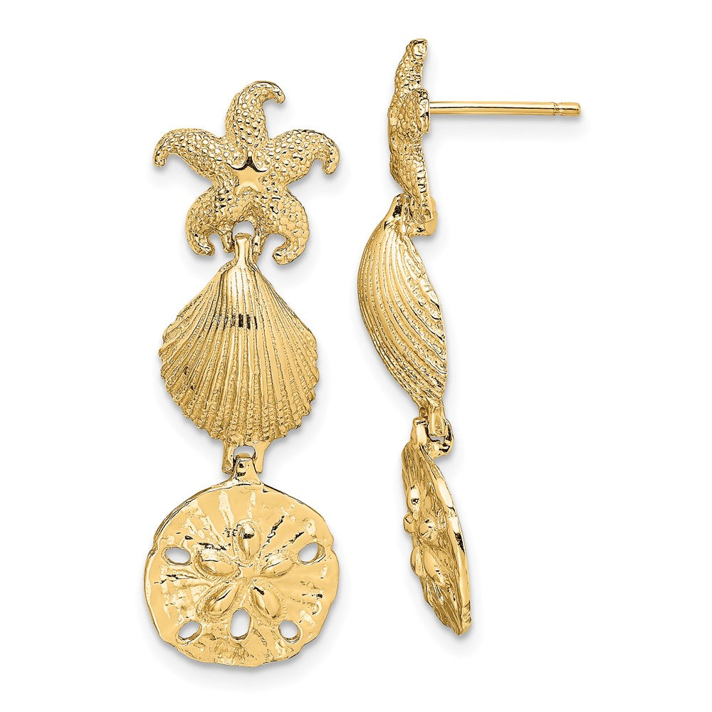 14K Gelbgold Seestern, Muschel,sand Dollar Ohrhänger