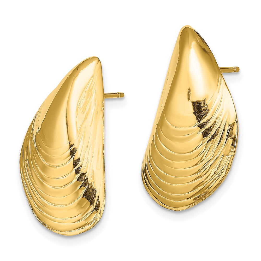 14K Gelbgold Poliert Mussel Muschel Ohrstecker