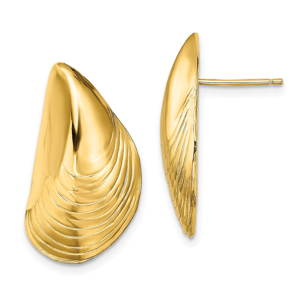 14K Gelbgold Poliert Mussel Muschel Ohrstecker