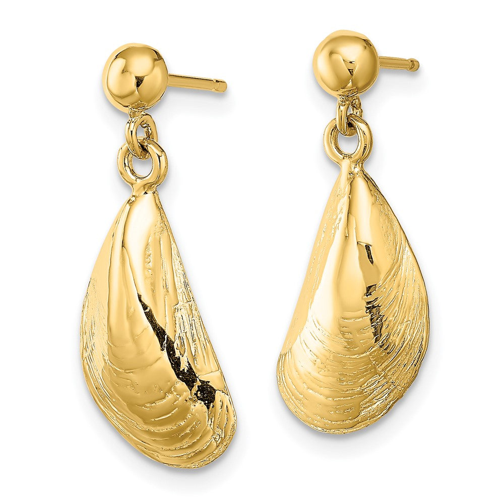 14K Gelbgold Mussel Muschel Ohrhänger