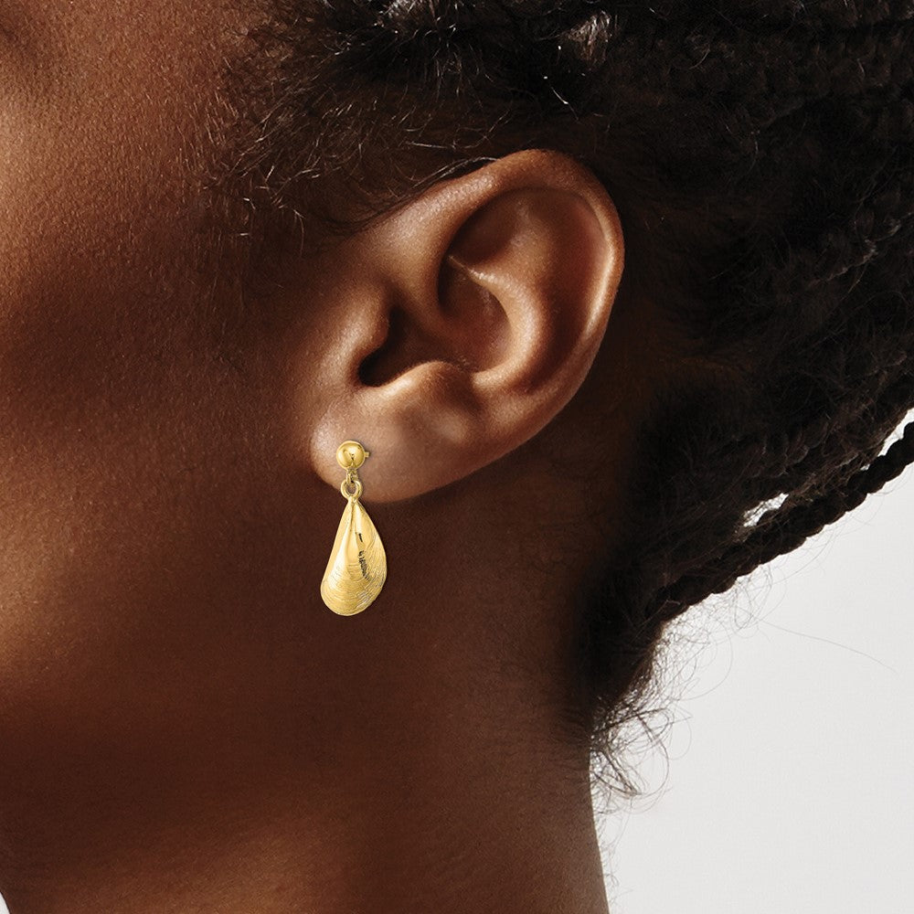 14K Gelbgold Mussel Muschel Ohrhänger