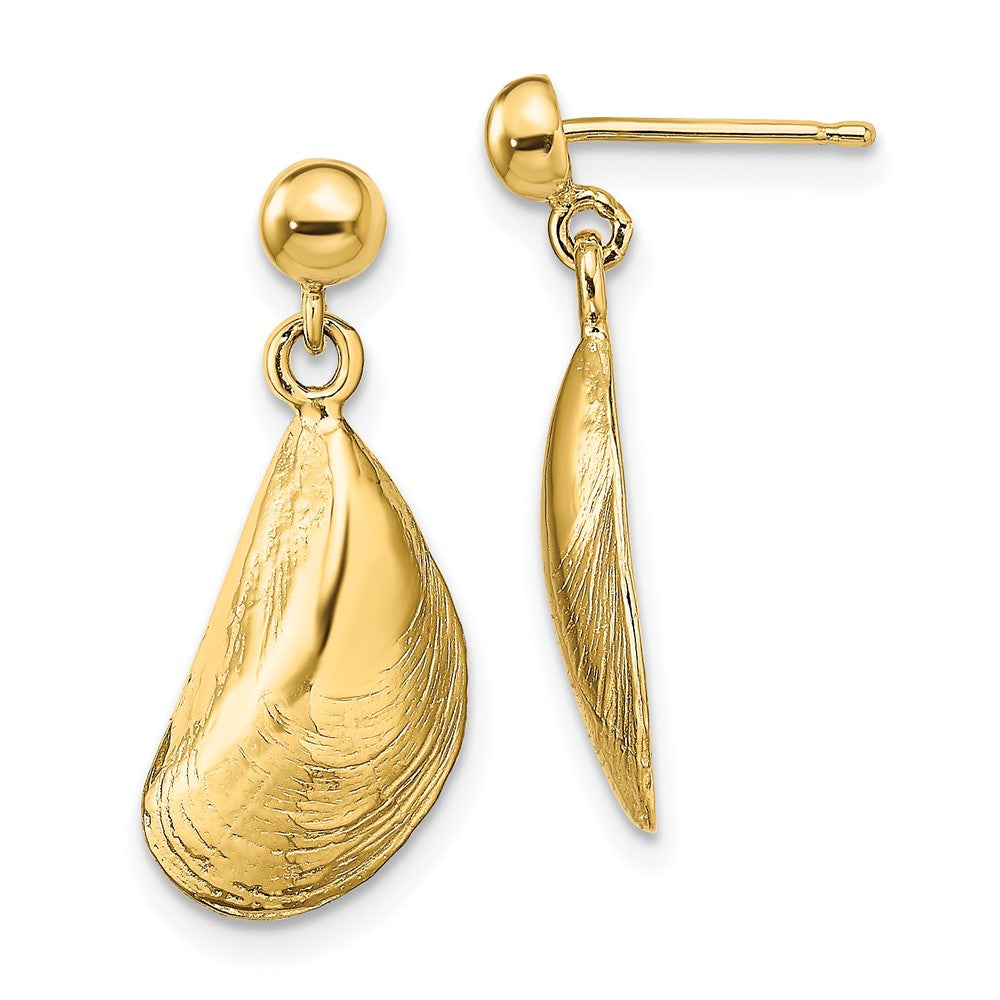 14K Gelbgold Mussel Muschel Ohrhänger