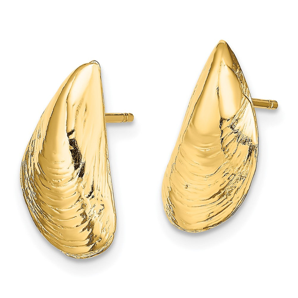 14K Gelbgold Mussel Muschel Ohrstecker