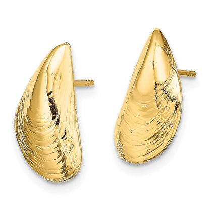 14K Gelbgold Mussel Muschel Ohrstecker