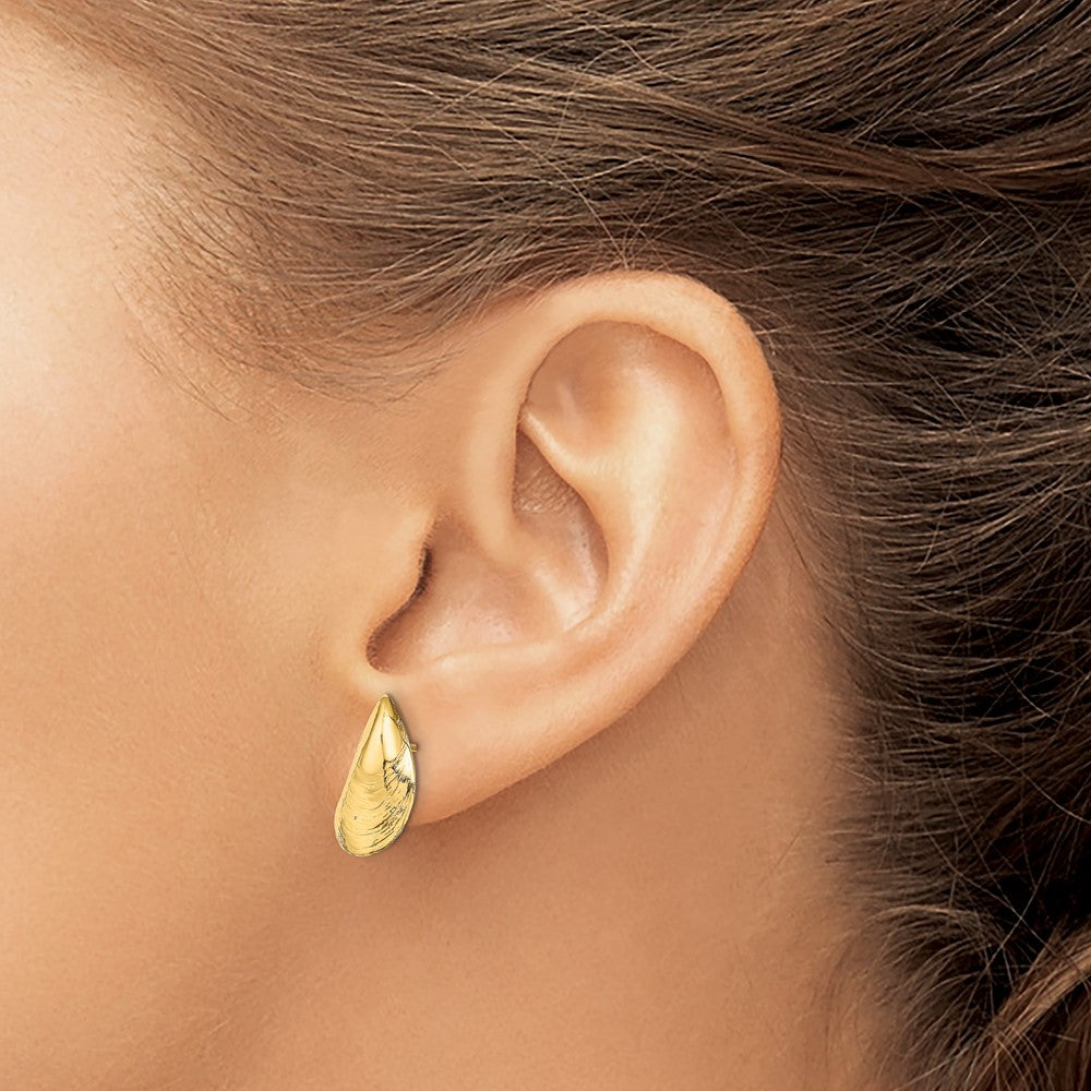 14K Gelbgold Mussel Muschel Ohrstecker