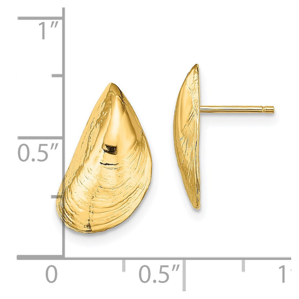 14K Gelbgold Mussel Muschel Ohrstecker