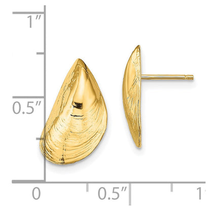 14K Gelbgold Mussel Muschel Ohrstecker