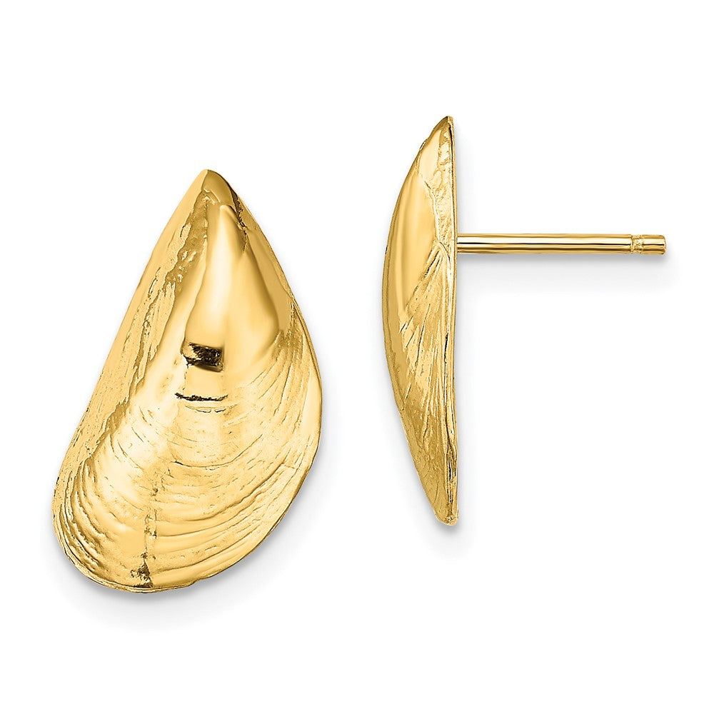 14K Gelbgold Mussel Muschel Ohrstecker
