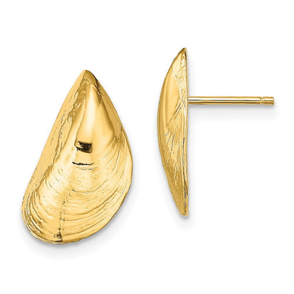 14K Gelbgold Mussel Muschel Ohrstecker