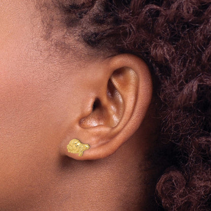 14K Gelbgold Poliert Swimming Meer Schildkröte Ohrstecker
